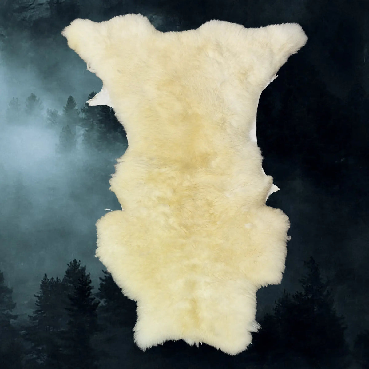 Full Sheep Skin Fleece from England, UK - Example 2