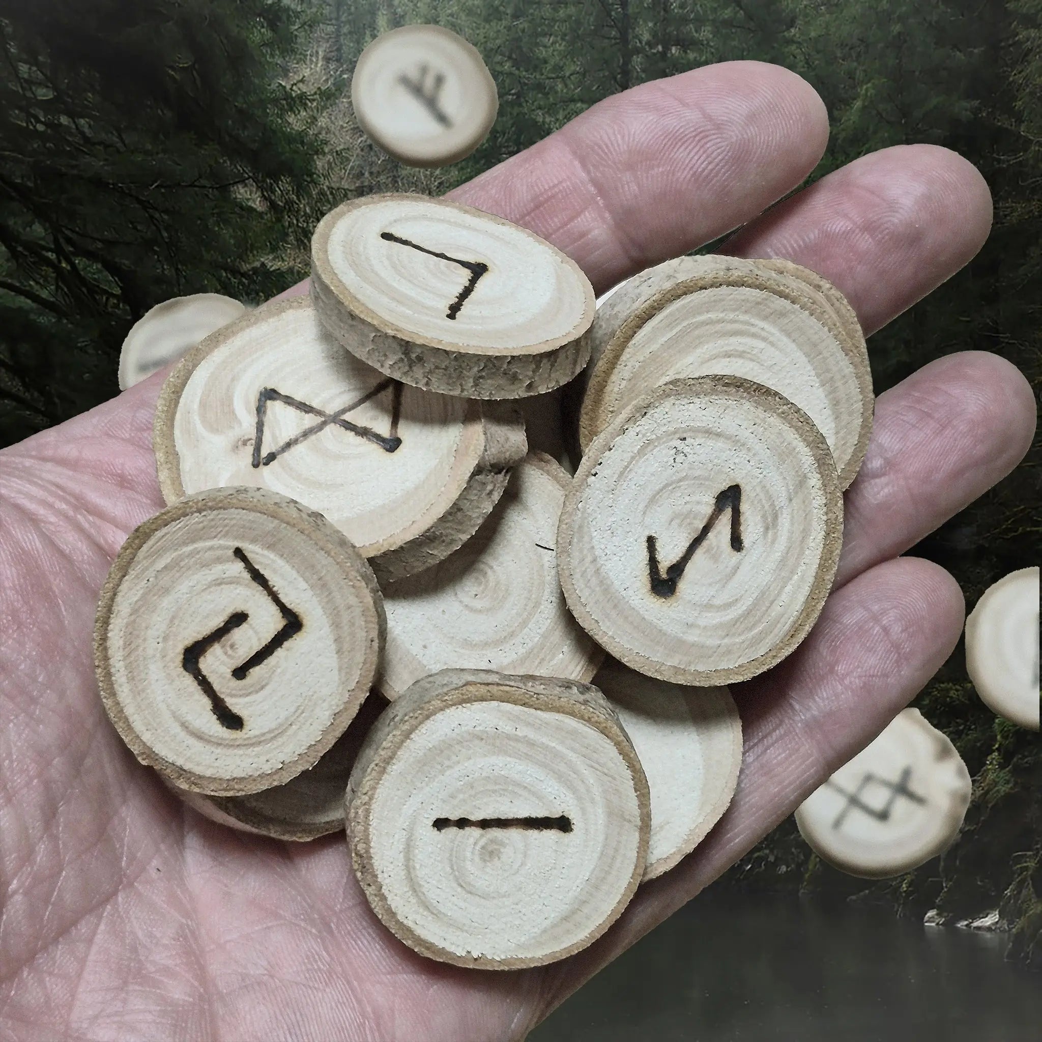 Complete Elder Futhark White Willow Runes on Hand