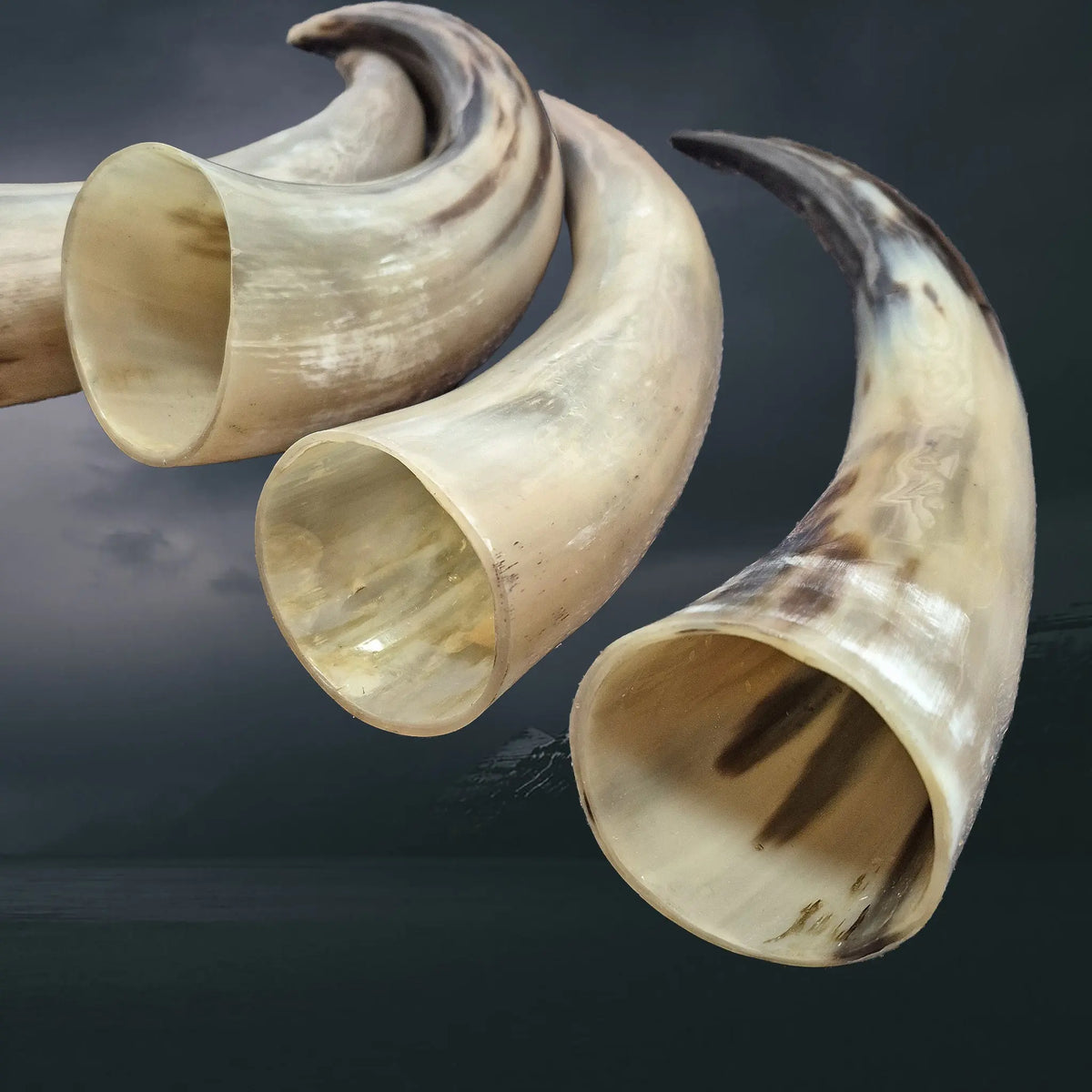 Long and Slender Polished Viking Drinking Horn Examples - Inside Angle View