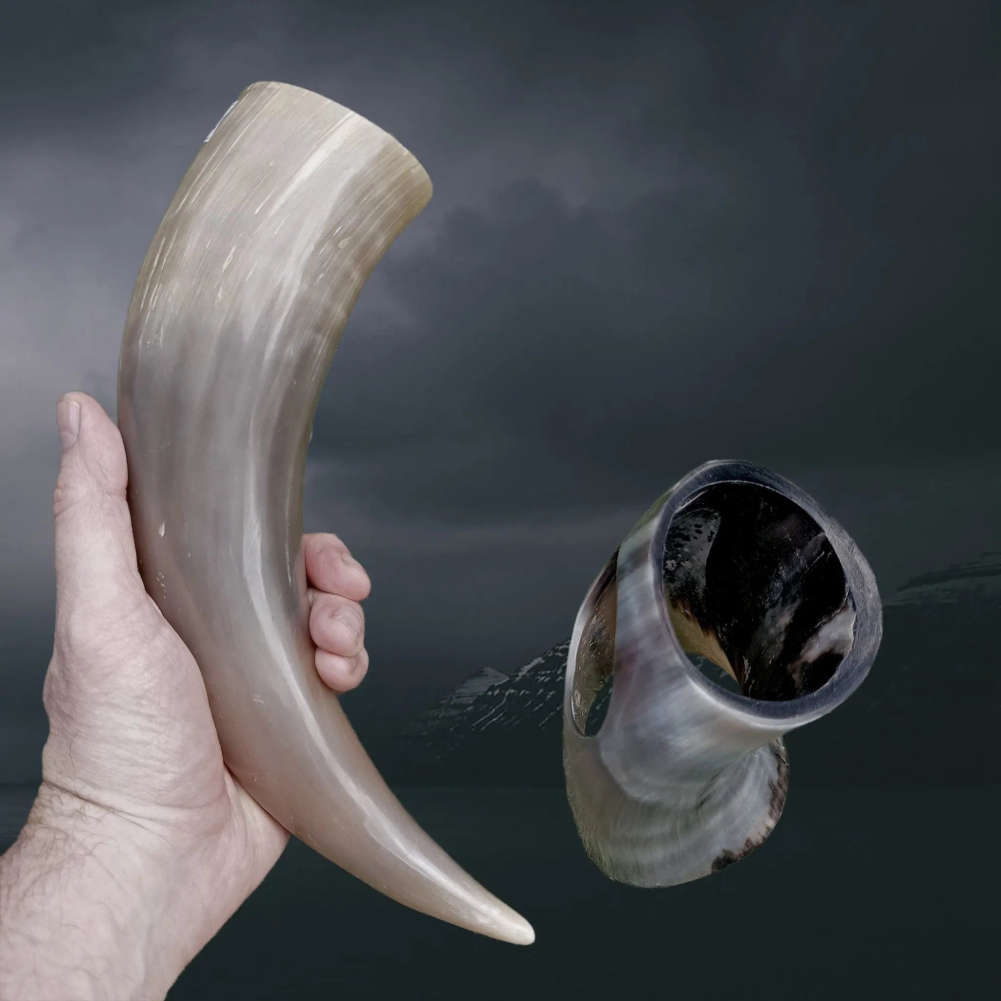 Ox Horn Small Polished Viking Drinking Horn With Horn Stand in Hand