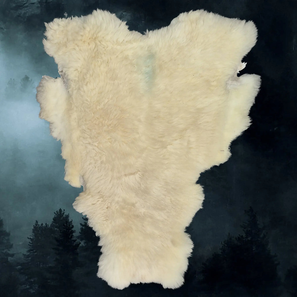 Full Sheep Skin Fleece from England, UK - Example 1