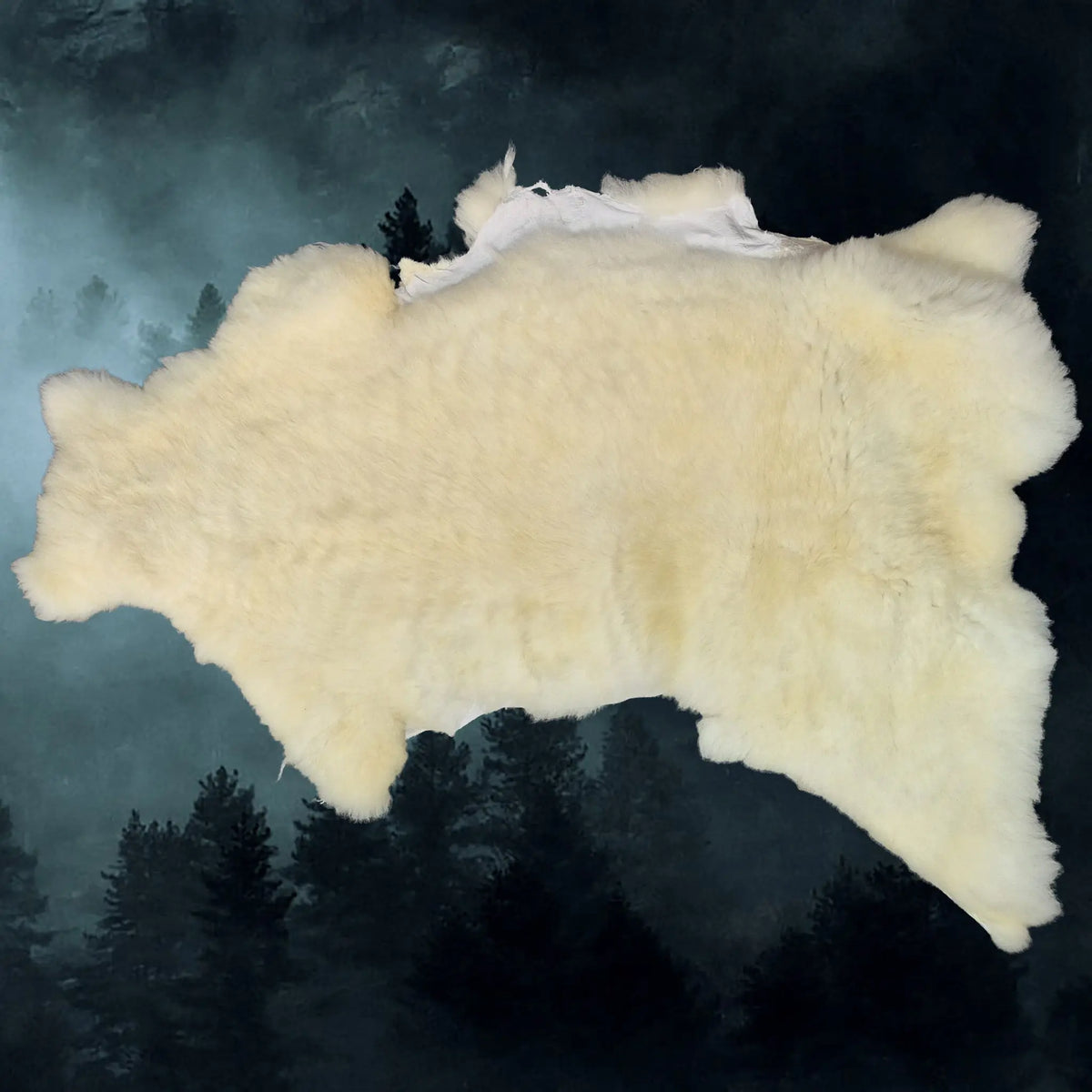 Full Sheep Skin Fleece from England, UK - Example 3