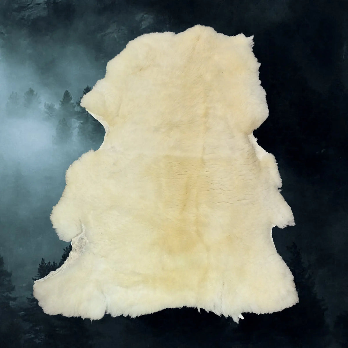 Full Sheep Skin Fleece from England, UK - Example 4