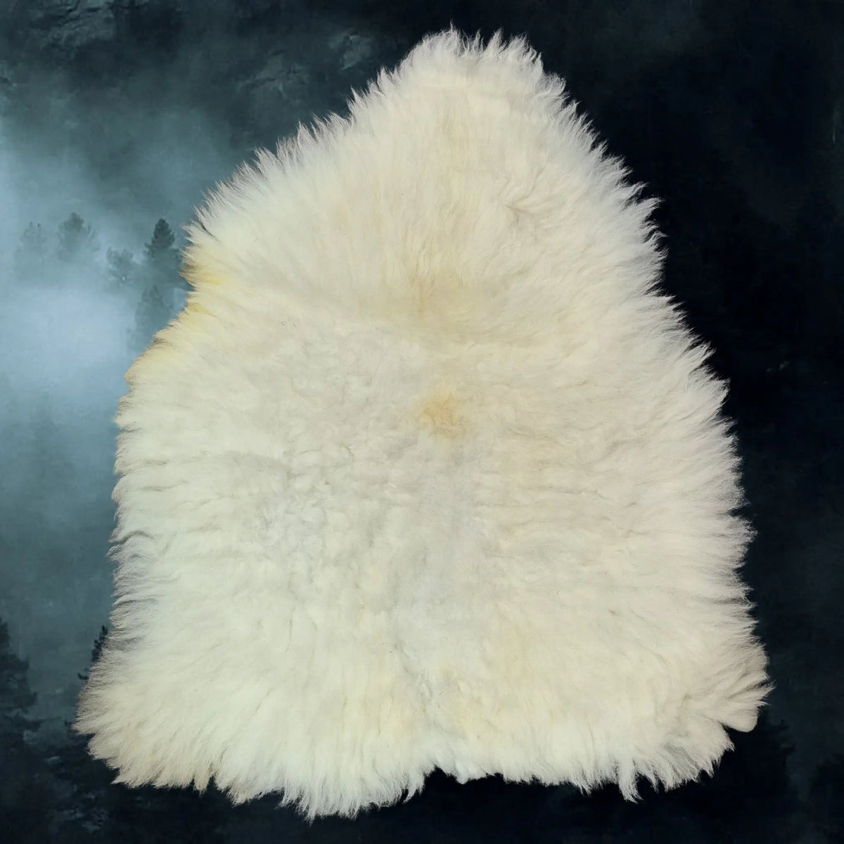 Full Sheep Skin Fleece from England, UK - Example 5